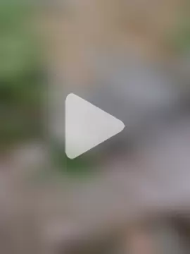 YOURBHABI143 photo 3