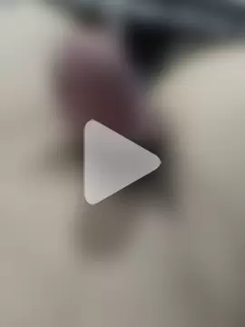 Yang_dick photo 2
