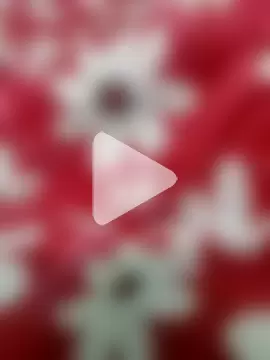 Yashkumar_0697 photo 22