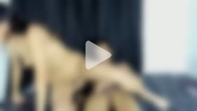 Yenifer_maicol photo 25