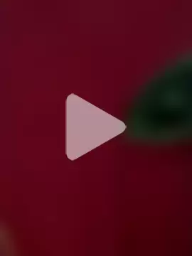 YostinAndSabri photo 5