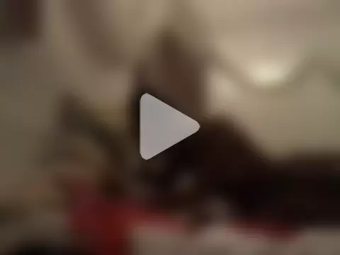 Your-highnes photo 7