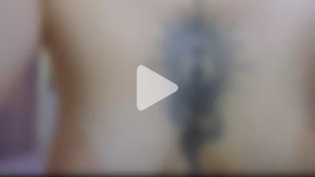 Your_Auggie photo 17