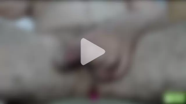 Your_bigheadcock photo 9