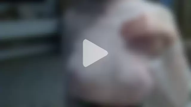 ZarinaSwift photo 11