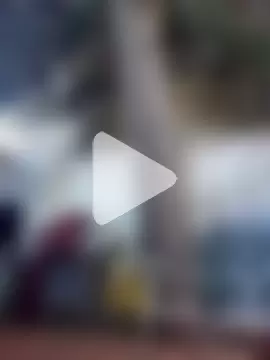 Zorrita_Fox photo 19