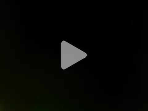 _Maxpein_0 photo 4