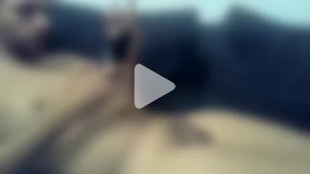 _Pauzudo22cm_ photo 5