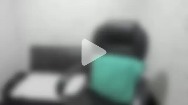 _ace_ventura photo 10