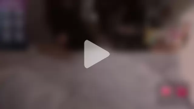 _eva__pleasure_ photo 14