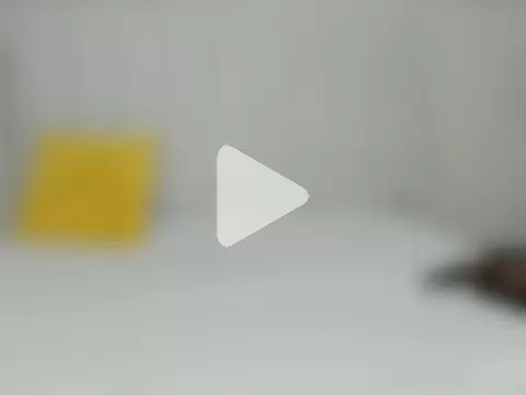 _heavenlysent photo 13