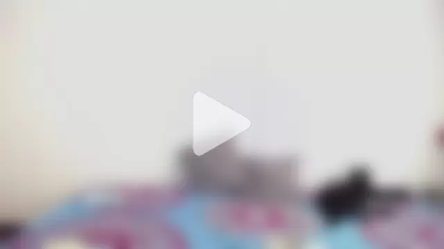 _joanne_and_oliver_ photo 7