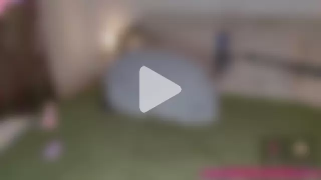 _rose_monarch_ photo 3