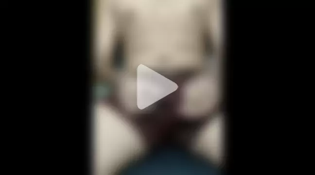 _zaddy_with_no_baddie_ photo 12