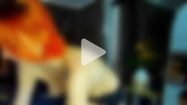 acidlampa420 photo 17