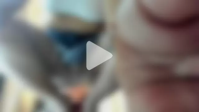 aitana-purple photo 4