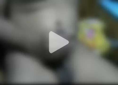 ajoy_sugarbaby photo 8