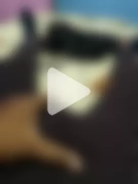 ak007_desire photo 19