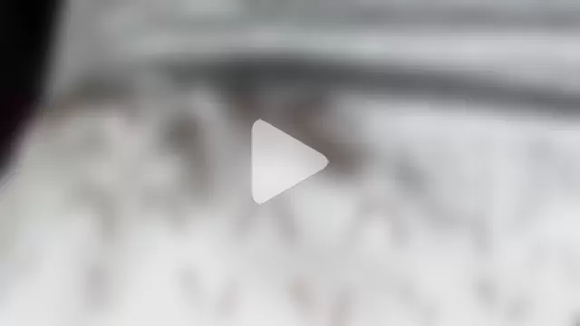 aleera_starxx982 photo 18