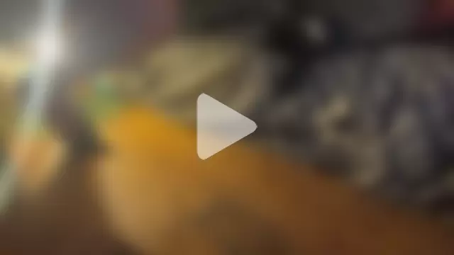 alexheels_boots photo 8