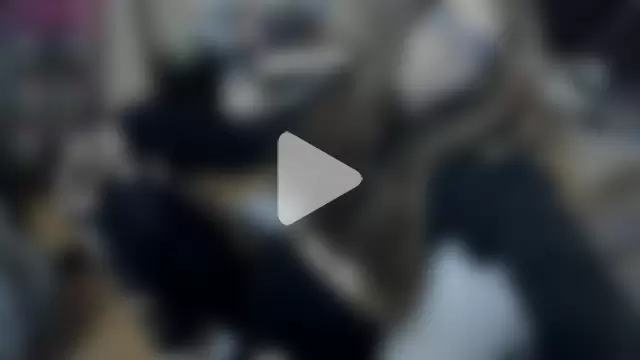 alexiamaleax photo 18