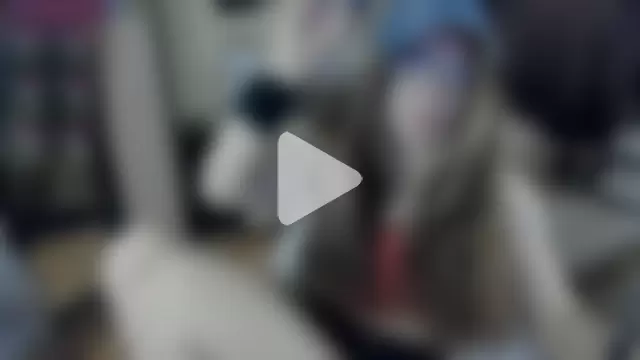 alexiamaleax photo 10