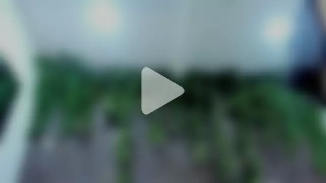 alice_greco photo 25