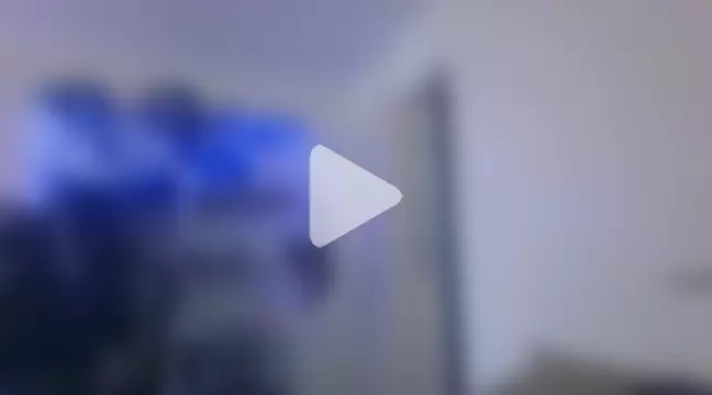 alphaswitchard photo 16