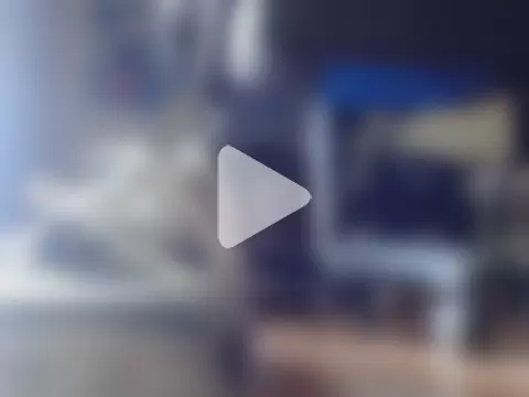 alphaswitchard photo 8