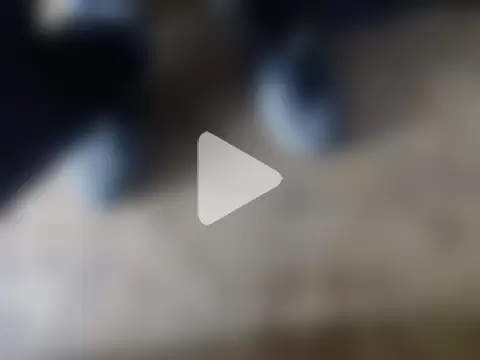 alphaswitchard photo 4