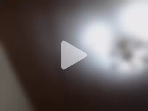 alphaswitchard photo 2