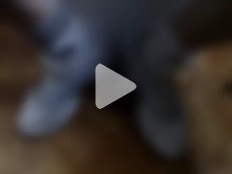 alphaswitchard photo 4