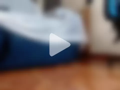 alphaswitchard photo 1