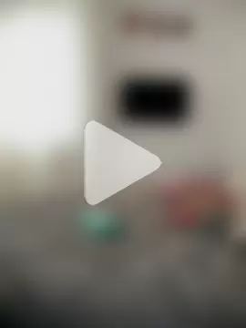 amalia202555 photo 11