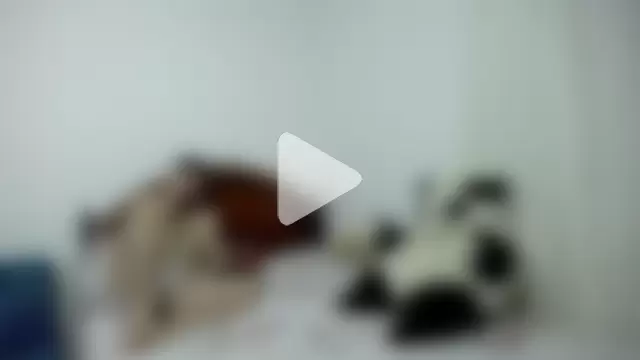 ambar_jacksonn photo 7