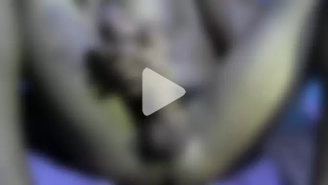 anacondaDee photo 19