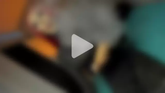 anitacruise photo 10