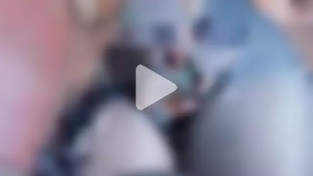 anna_lorenss photo 26