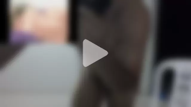 antonix-hard photo 7