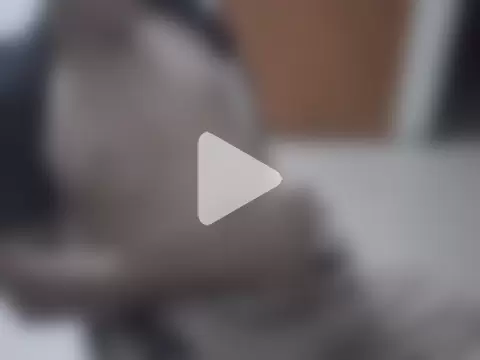 antonix-hard photo 2