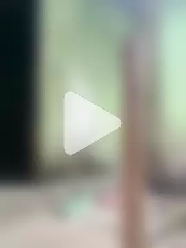 anusexygirl1 photo 1