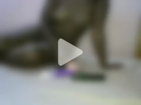 aria_thegirl photo 15