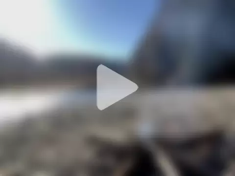 artXhibitor photo 18