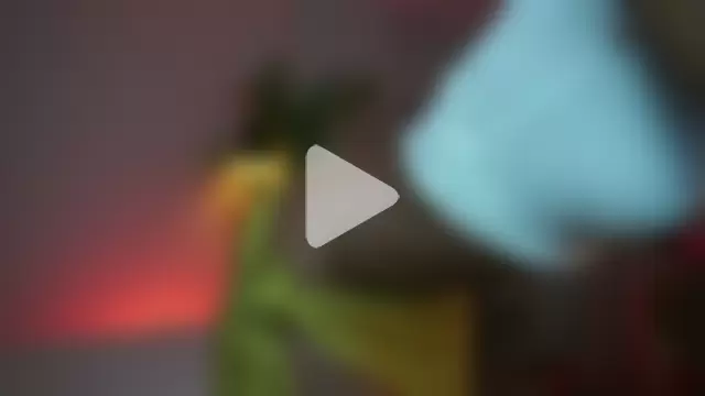 astreaharmonia photo 15