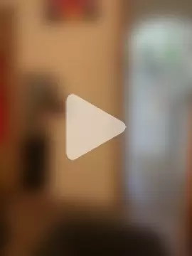 aurora_rayx photo 1