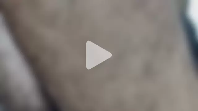 badboymanni69 photo 1