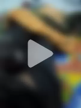 bananadick____ photo 7