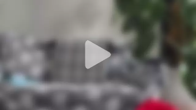 bestofdoseswirls photo 18