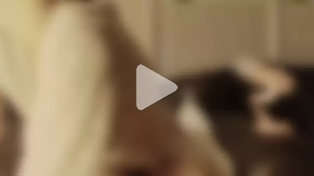 bestorbetter photo 2