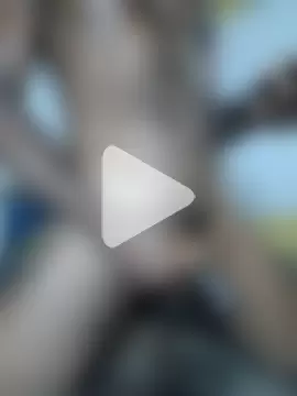 bigblackbangerkay photo 17